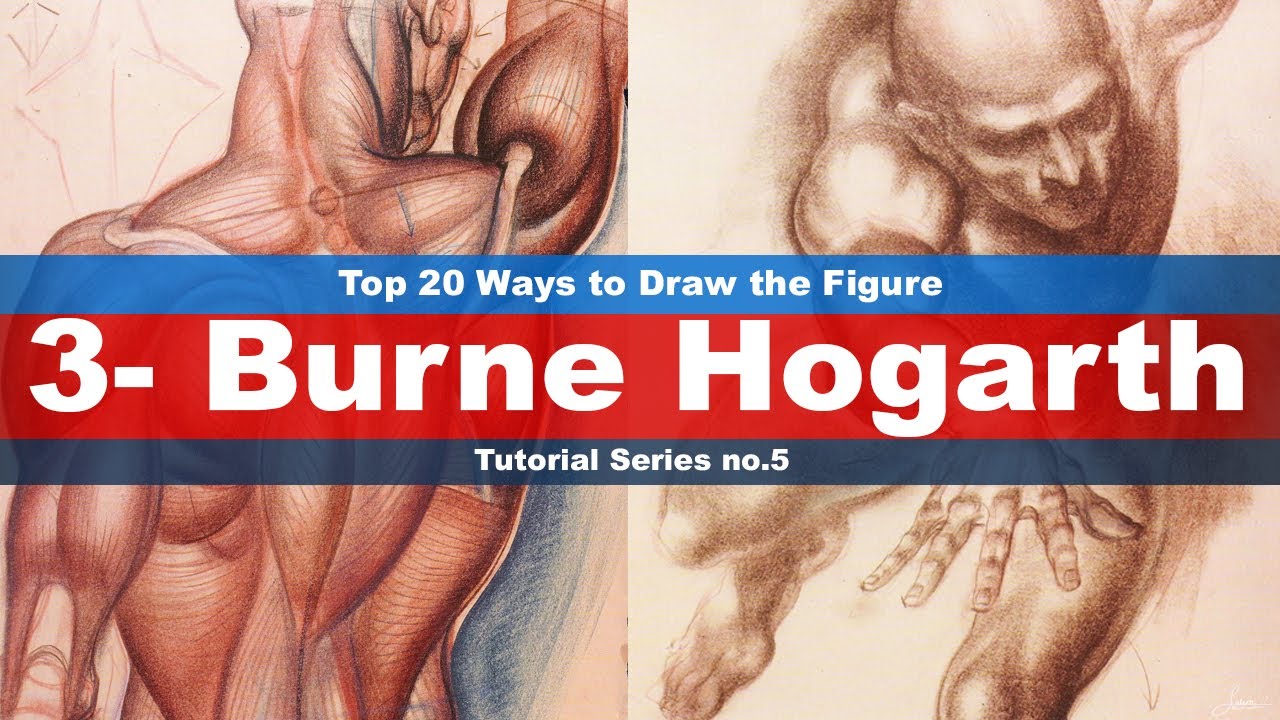 Bogart dynamic anatomy pdf file